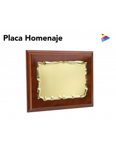 | Placa Homenaje |